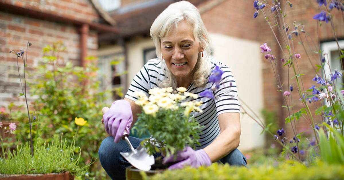 Senior woman planting in her garden