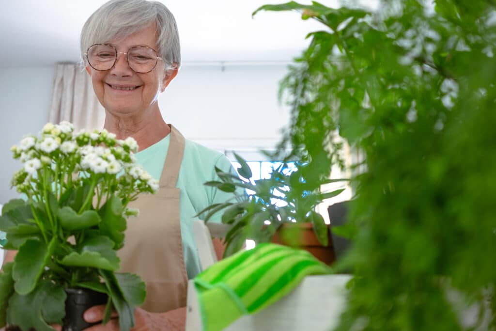 Picture of 5 Decorating Tips for Your Senior Living Retirement Home - Gantons.com
