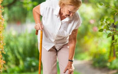 Joint Health and Exercises for Seniors 