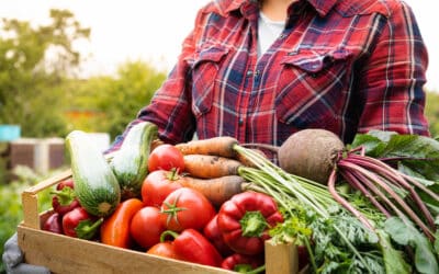 Senior Health: Reduce Inflammation with a Colorful Diet